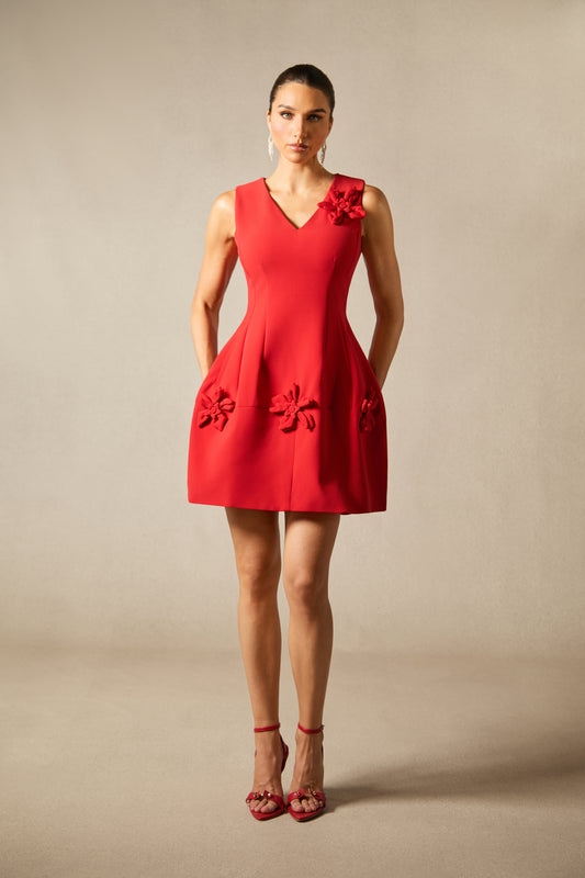 Bertina Floral Applique V-Neck Mini Dress