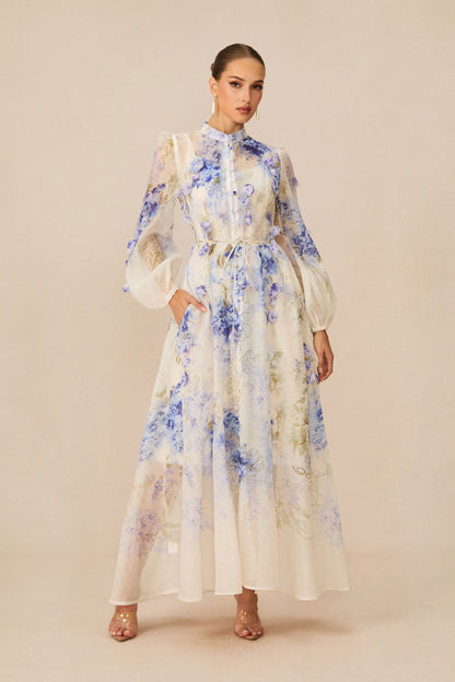 Moment of Beauty Blue Floral Print Maxi Dress